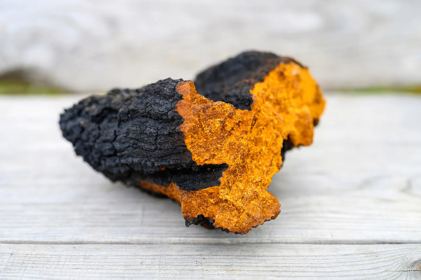 Birch Chaga Digestive System Booster Capsules