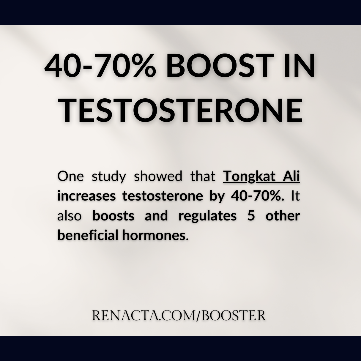 Testosterone Booster