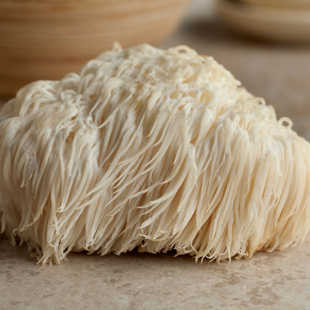 Lion's Mane Mushroom